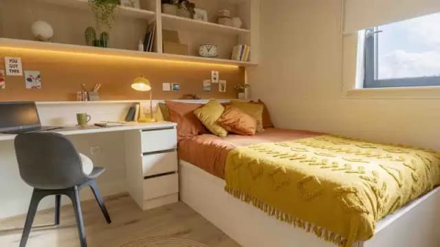 Bronze Studio Premium main photo