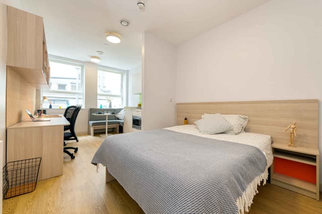 Luxury Studio main photo