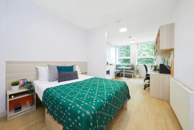 Luxury Plus studio main photo