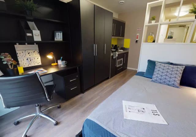 Bronze Studio Plus main photo