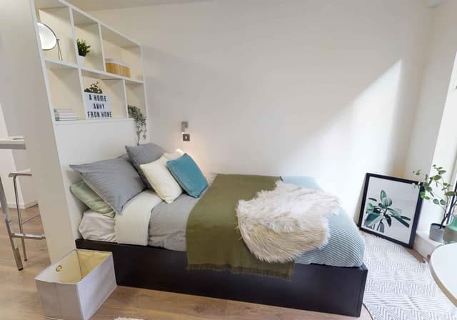 Platinum Studio Plus main photo