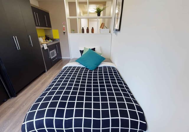 Silver Studio Plus main photo