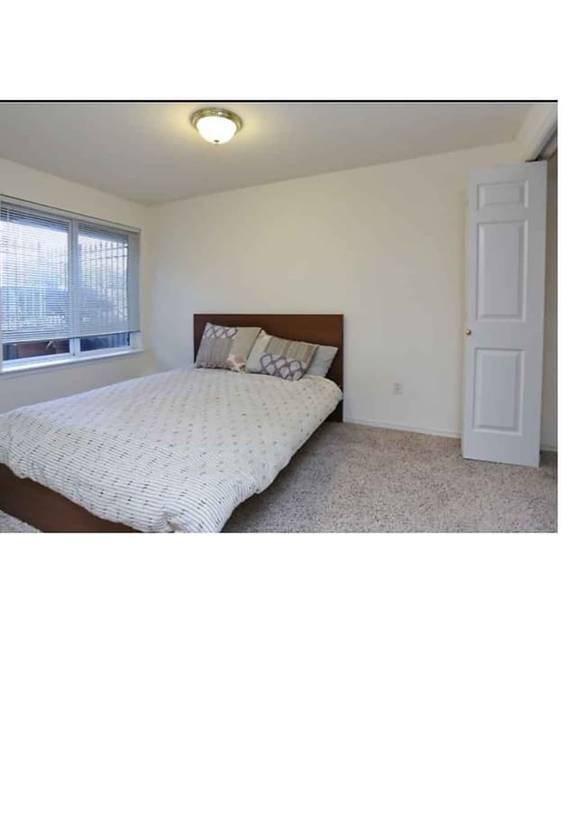 2 Bed 2 Bath main photo