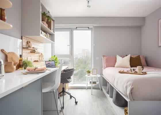 Studio Standard main photo