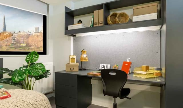 Luxury Studio main photo