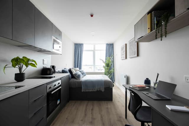 Luxury Studio main photo