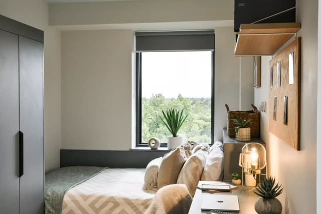 Gold Studio Plus main photo