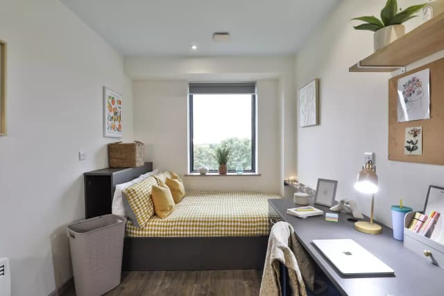 Silver Studio main photo