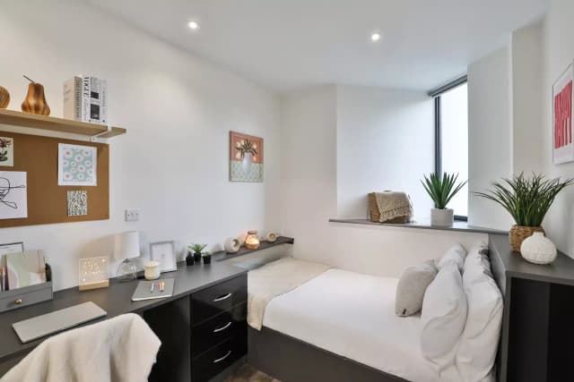 Bronze Studio Plus main photo