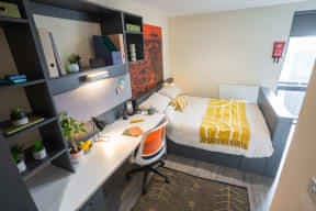 Premium Studio main photo