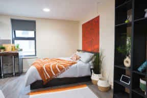 Deluxe Studio main photo