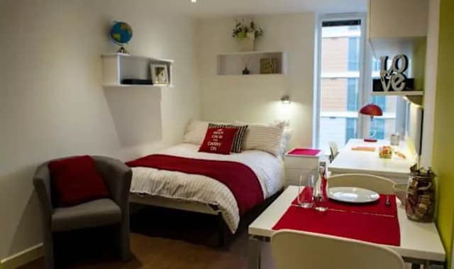 Standard Studio Bronze main photo