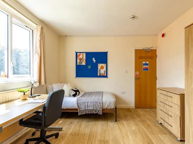 Large Studio main photo