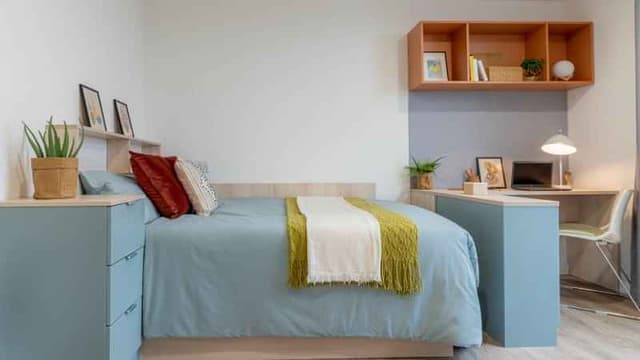 Silver Studio Plus main photo