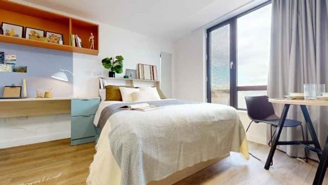 Gold Studio Plus main photo