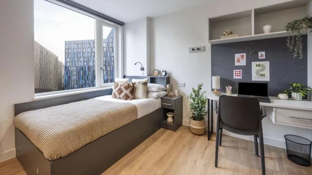 Premium Studio Plus main photo