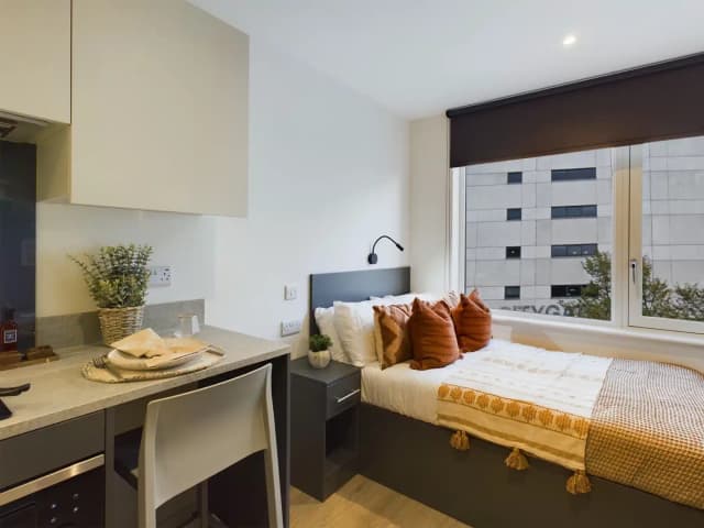 Classic Studio Plus main photo