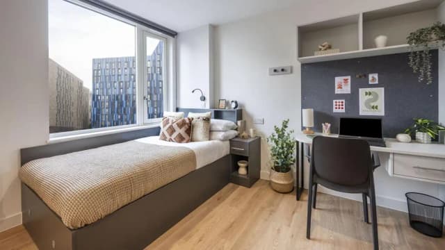 Deluxe Studio main photo