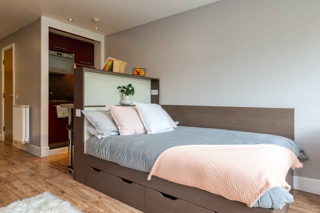 Premium Plus Studio main photo