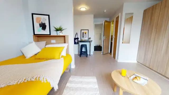 Gold Studio Deluxe main photo