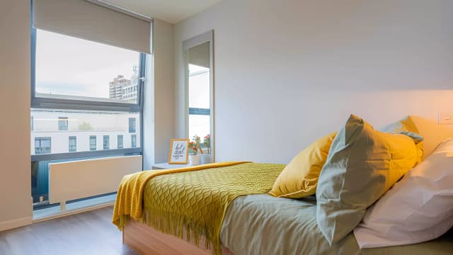 Bronze Studio Deluxe main photo