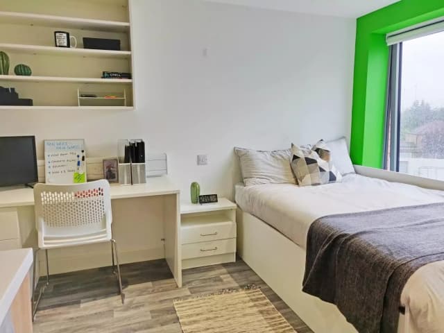 Premium Studio main photo