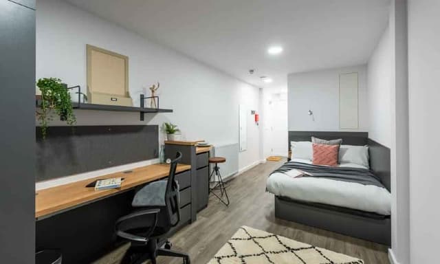 Deluxe Studio main photo