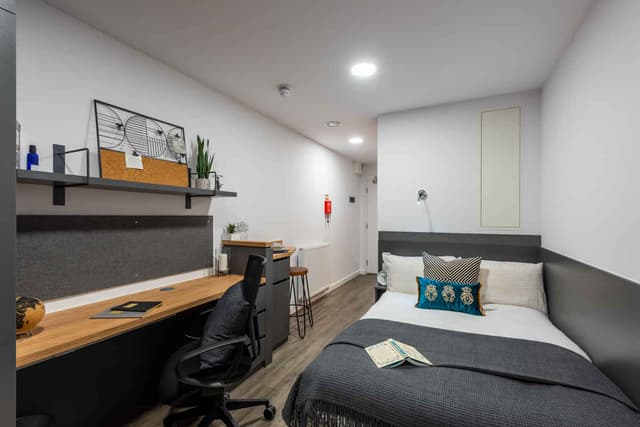 Premium Studio City View main photo