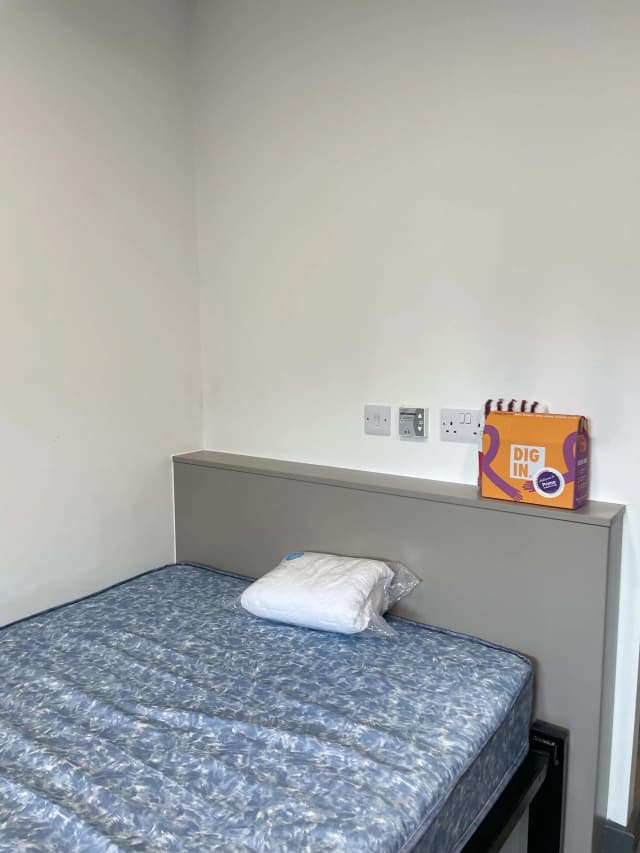 Deluxe Studio main photo