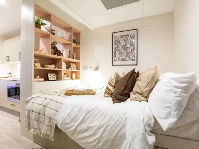 Deluxe Studio Plus main photo