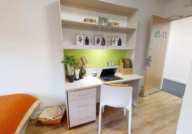 Bronze Studio Plus main photo