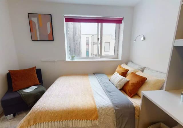 Platinum Studio Plus main photo