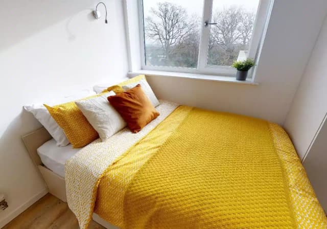 Silver Studio Plus main photo