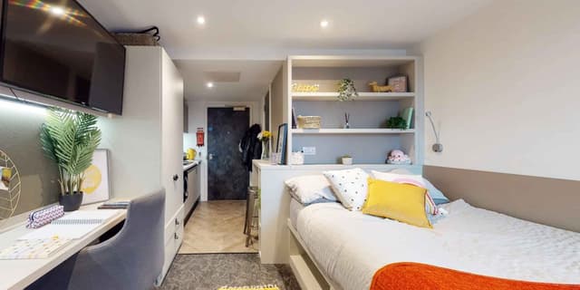 Platinum Studio Lower Level main photo