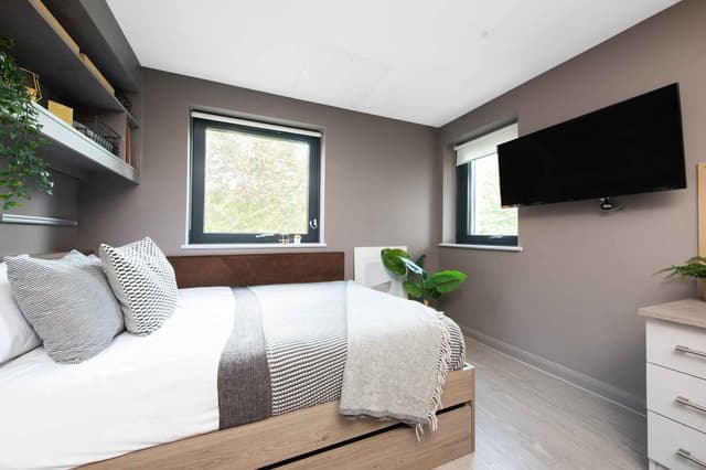 Compact Studio main photo