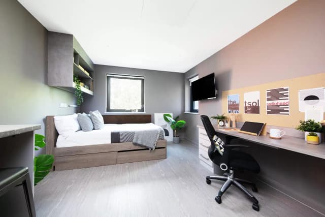 Silver Studio main photo