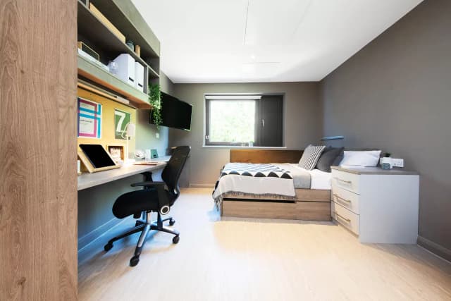 Gold Studio main photo