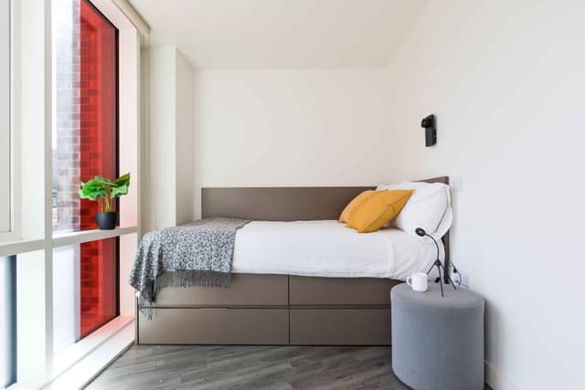 Platinum Plus Studio main photo