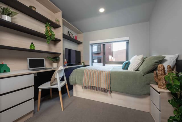 Premium Plus Studio main photo