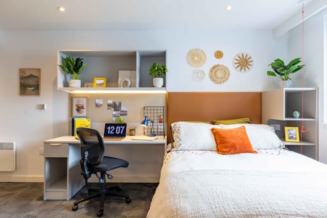 True Accessible Studio Plus main photo