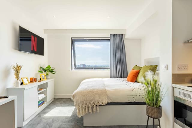 True Studio main photo