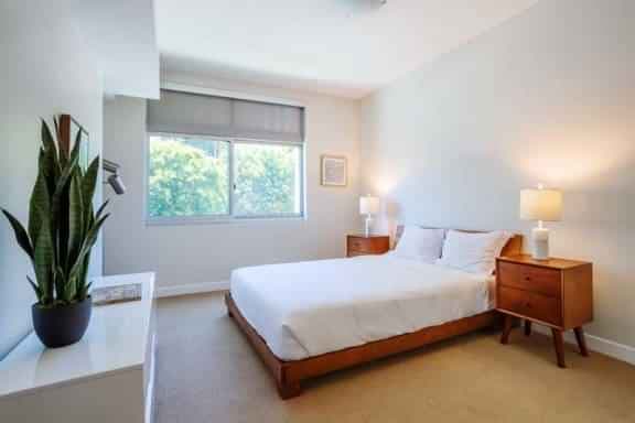 1 Bedroom 1 Bathroom Apartment main photo