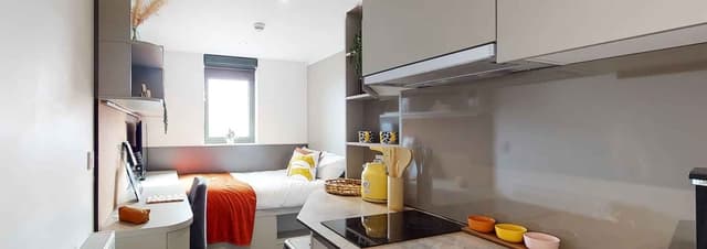 Gold Studio Private Mid Level main photo