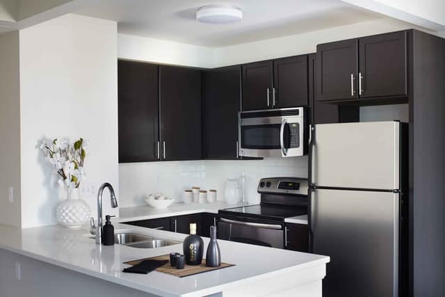 1 Bed 1 Bath main photo