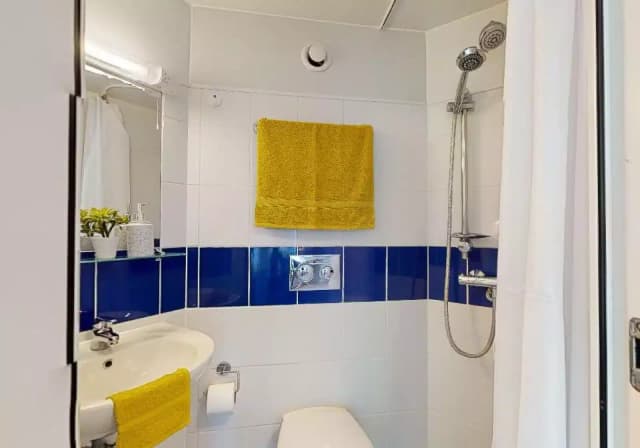 Bronze Studio Plus main photo