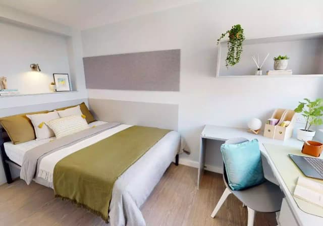 Silver Studio Plus main photo