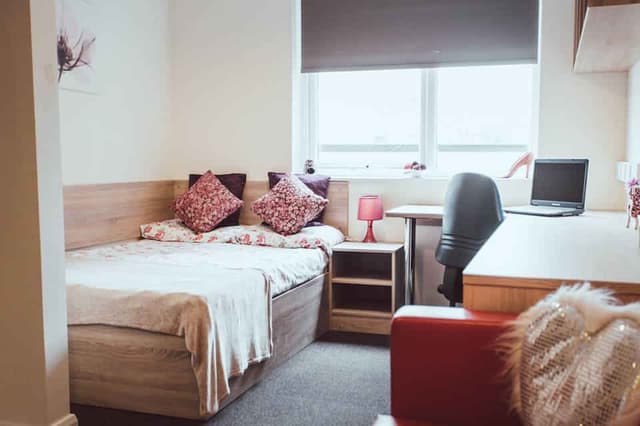 Premier Studio main photo