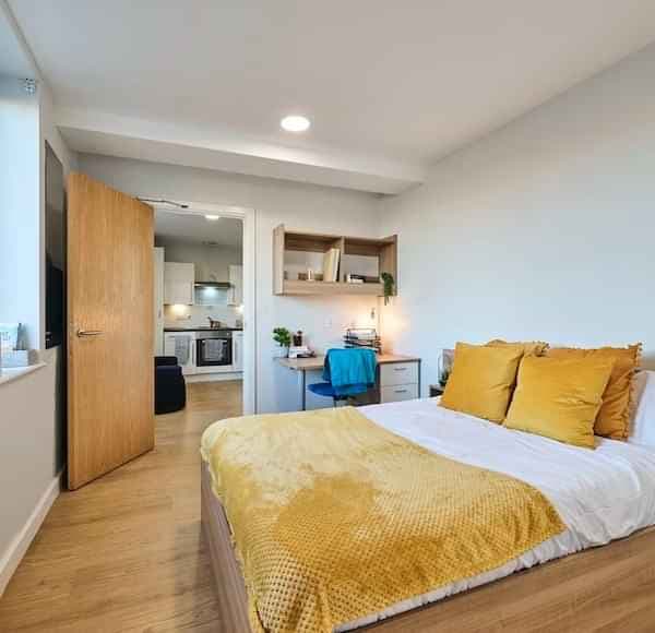 Studio Gold Plus main photo