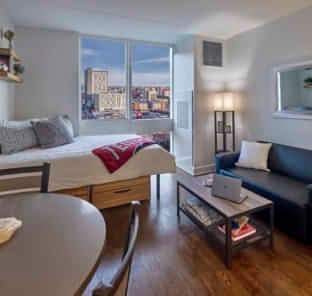 Place Preview main user avatar