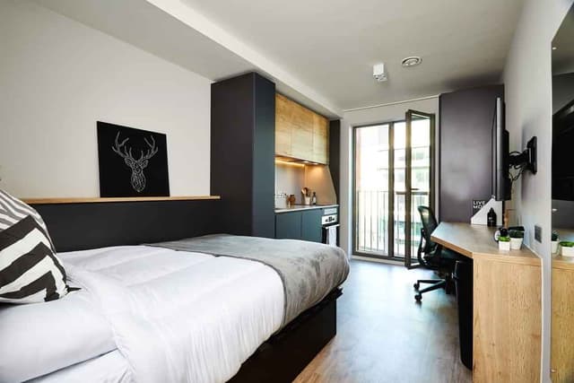 Lite Plus main photo